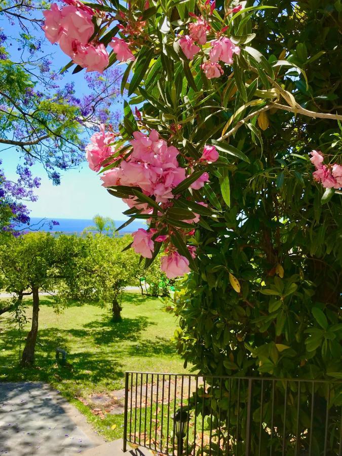 Tenuta Jacaranda Piedimonte Etneo Luaran gambar